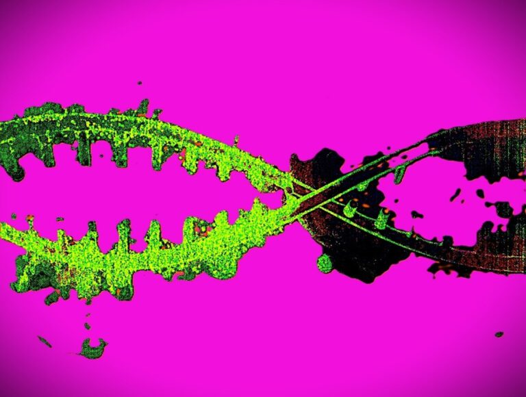 BioNTech SE, Deutschlands Hoffnung auf Größe? 4 DNA Straenge Lila dritte Grafik